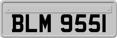 BLM9551
