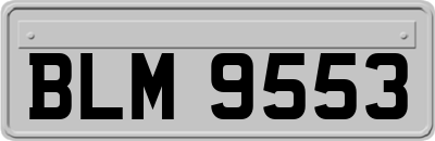 BLM9553