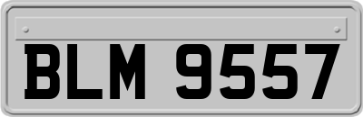 BLM9557