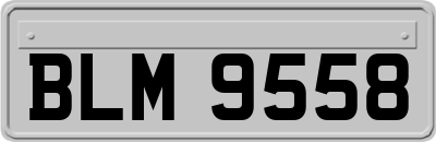 BLM9558
