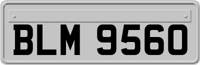 BLM9560