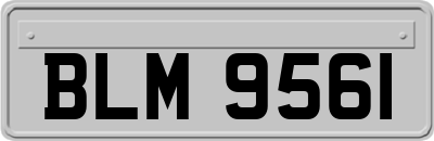 BLM9561