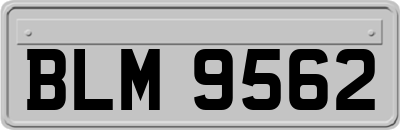BLM9562