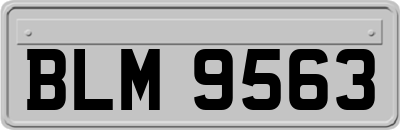 BLM9563