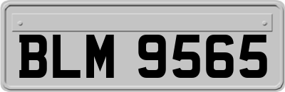 BLM9565