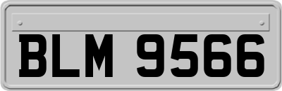 BLM9566
