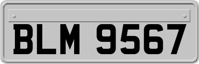 BLM9567