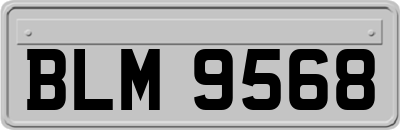 BLM9568