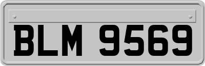 BLM9569