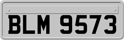 BLM9573