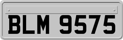 BLM9575