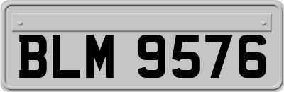 BLM9576