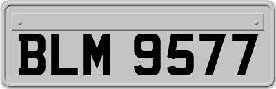 BLM9577