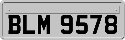 BLM9578