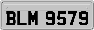 BLM9579