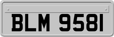BLM9581