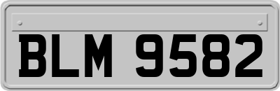 BLM9582