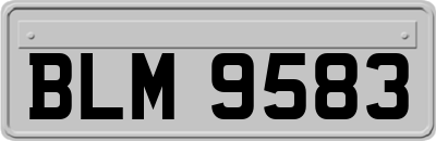 BLM9583