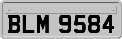 BLM9584