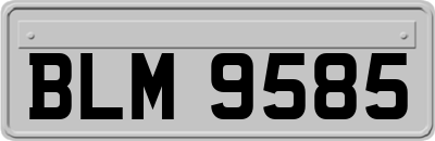 BLM9585