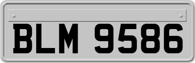 BLM9586