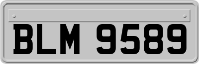 BLM9589