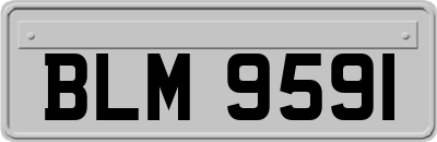 BLM9591