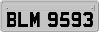 BLM9593
