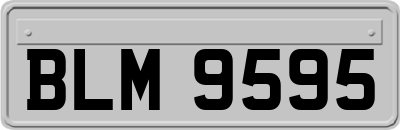 BLM9595