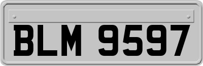 BLM9597