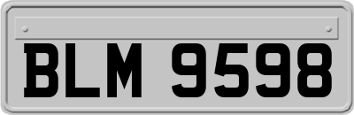 BLM9598