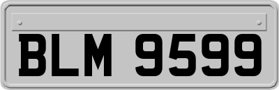 BLM9599