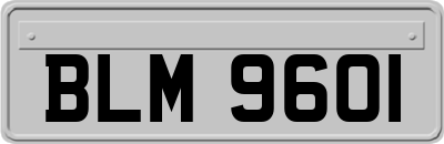 BLM9601