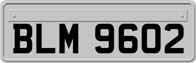 BLM9602