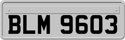 BLM9603