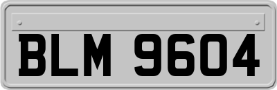 BLM9604