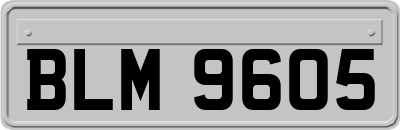 BLM9605