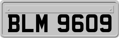 BLM9609