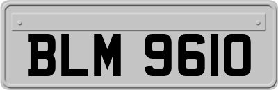 BLM9610