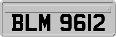 BLM9612