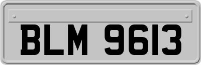 BLM9613