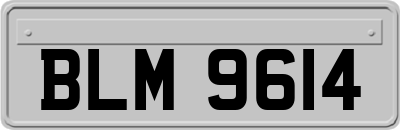 BLM9614