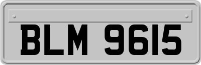 BLM9615