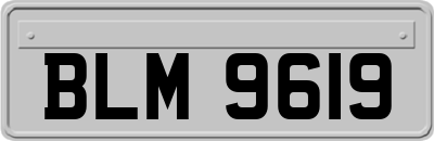 BLM9619