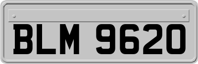 BLM9620