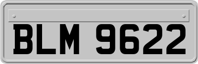 BLM9622
