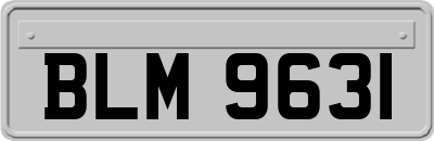 BLM9631