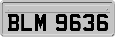 BLM9636
