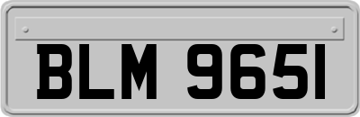 BLM9651