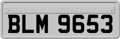BLM9653